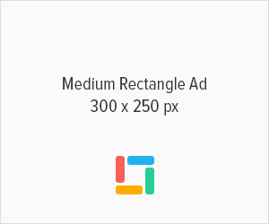 300x250