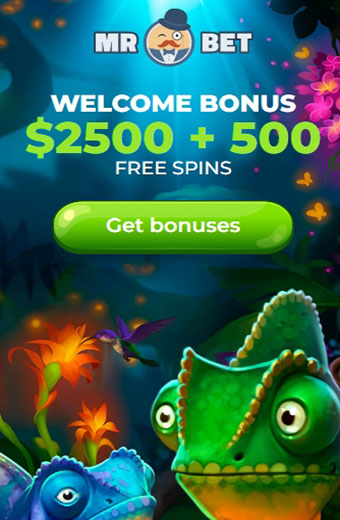 MrBet